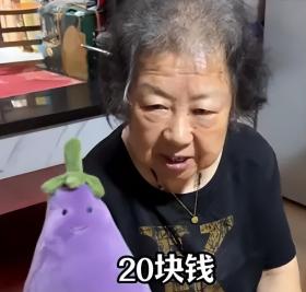 笑痛肚皮！80歲上海外婆走紅！和外孫錄視頻，三分嘲諷七分不屑…網(wǎng)友：太可愛了！  第31張