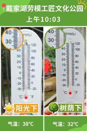 普降5-6℃！青山“大自然空調”免費又涼快  第28張