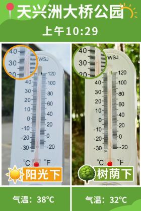 普降5-6℃！青山“大自然空調”免費又涼快  第41張