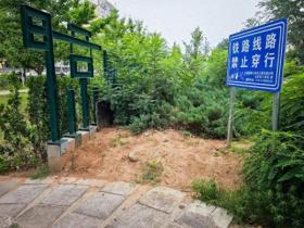 石景山區(qū)修補(bǔ)京門鐵路綠地 提升城市“顏值”  第1張