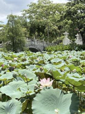 阿勒泰、洛陽(yáng)、杭州……“一部劇帶火一座城”的下一站是惠州？